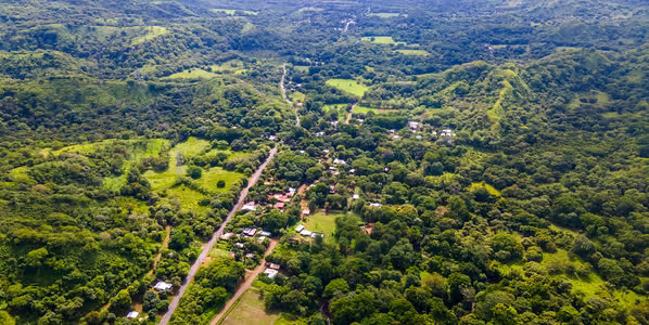 Development Farm