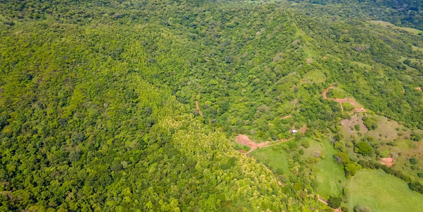Development Farm