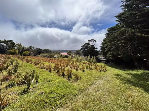 VENTA DE ESPECTACULAR LOTE EN SAN ISIDRO DE HEREDIA
