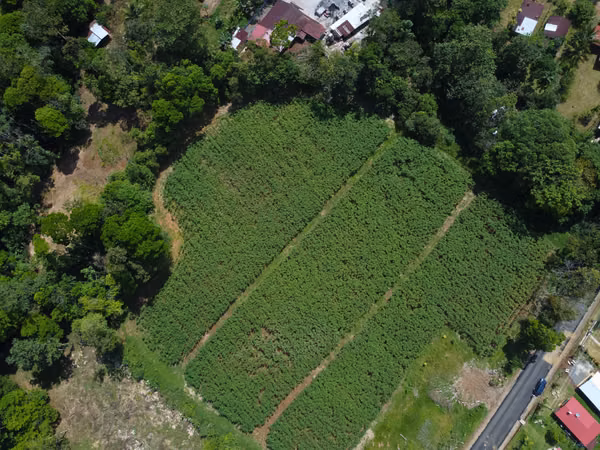 Seller Financing! Beautiful 18,540 m2 Land for house development or Farm-Rio Cuarto-Ala Juela
