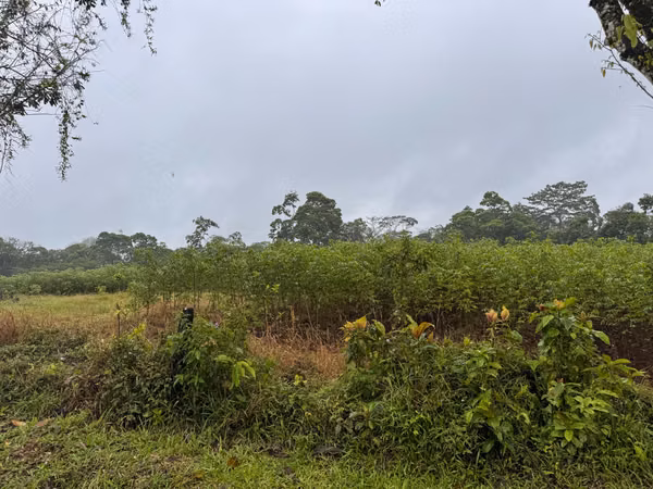 Hermoso Terreno de 18,540 m² en Santa Isabel, Río Cuarto –Desarrollo Residencial o Finca