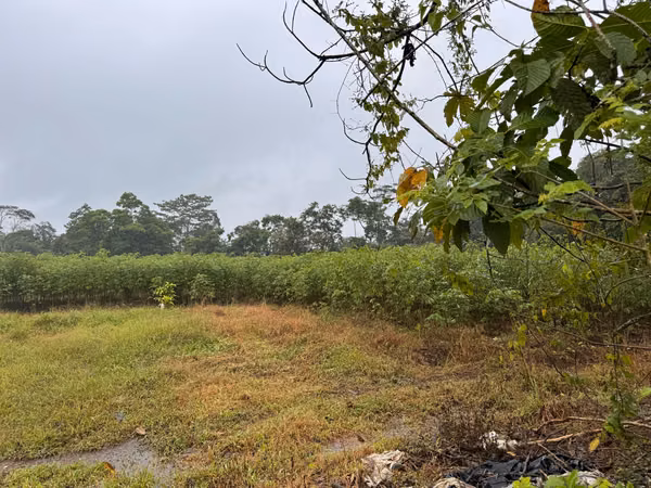 Hermoso Terreno de 18,540 m² en Santa Isabel, Río Cuarto –Desarrollo Residencial o Finca