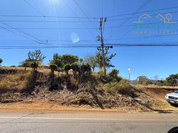 Land for sale in Greece, 2 hectares, ID 1923