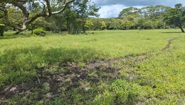 Finca 17 ha empastada con pozo y quebrada Nicoya