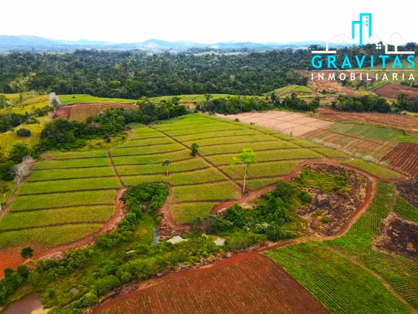 Finca for sale in San Carlos Coopevega Cutris HECHA ID 1584