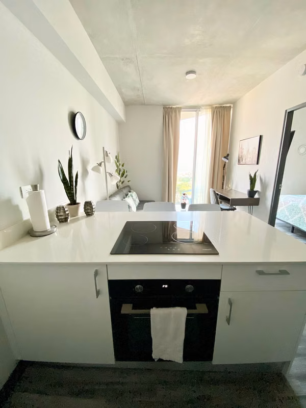 Beautiful Furnished Apartment - 124; Secrt Sabana, San José - 124; Floor 14