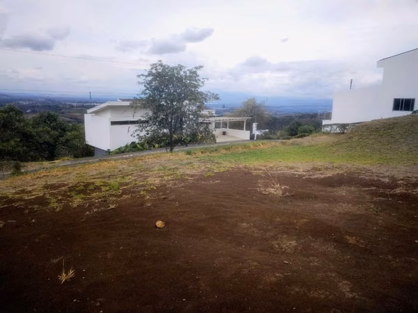 Best lot of Hacienda Natura for sure