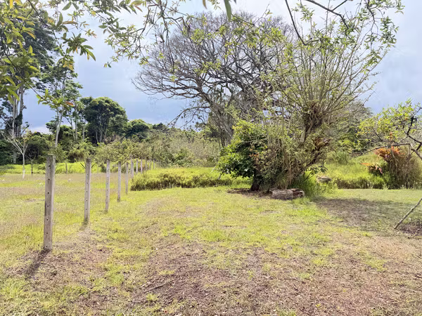 Development Opportunity in Carthage: 4,695 m ² with Strategic Vision (ZRAD Zone)