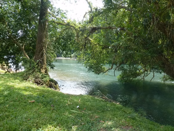 Venta de Finca en La Guaria de Puerto Viejo de Sarapiquí, Heredia