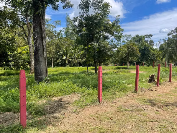 Sarapiquí Gem: 25-Acre Estate with Timber Woods, Creeks, and Paved Access
