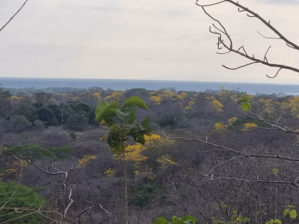 Lote 6,4ha con vistas al Mar y Potencial de Desarrollo