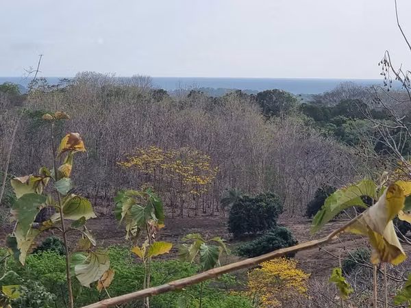 Lote 6,4ha con vistas al Mar y Potencial de Desarrollo