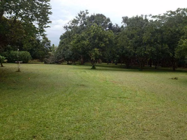 Finca en venta con vistas al Volcán Tenorio