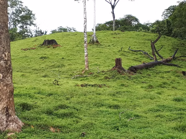 Property at Cutris de San Carlos, Alajuela