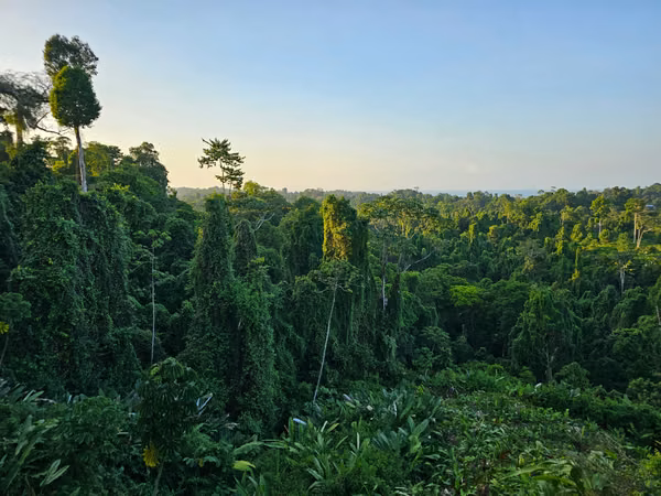 Propiedad de Eco-Lodge– The Jungle Getaway