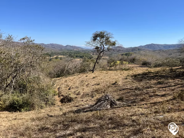 Finca para desarrollar a 6 min de la Playa Junquillal