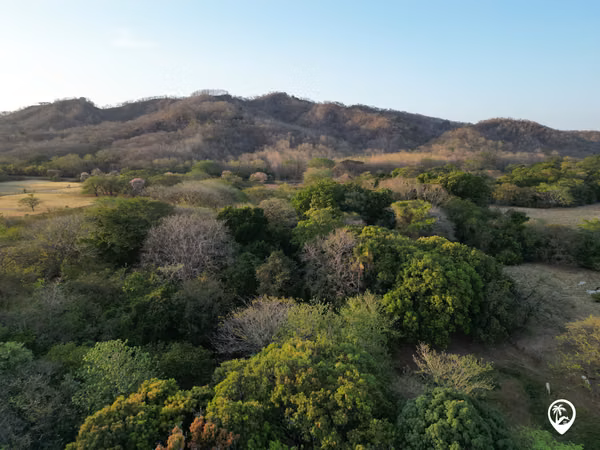 Finca para desarrollar a 6 min de la Playa Junquillal