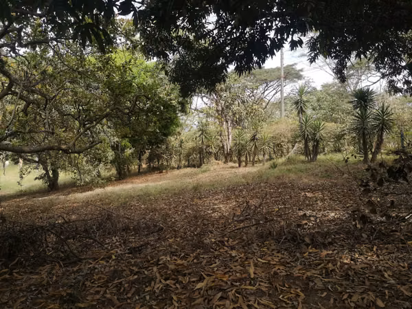 Lot for sale in Solymar, Playa Bajamar, Puntarenas