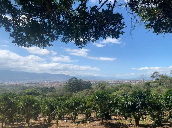 G.A. Special Land Sale in San Rafael de Heredia - Panoramic Views and Commercial Potential