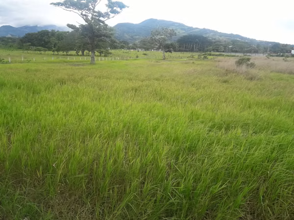 Venta de Finca en Brasil de Santa Ana