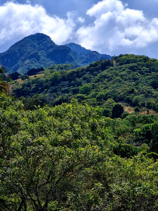 Quinta con vistas al valle y montaña, casa pequeña,arroyo,naciente