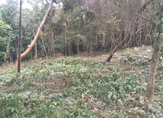 Terreno de una Hectárea en San Juanillo, Santa Cruz, Guanacaste
