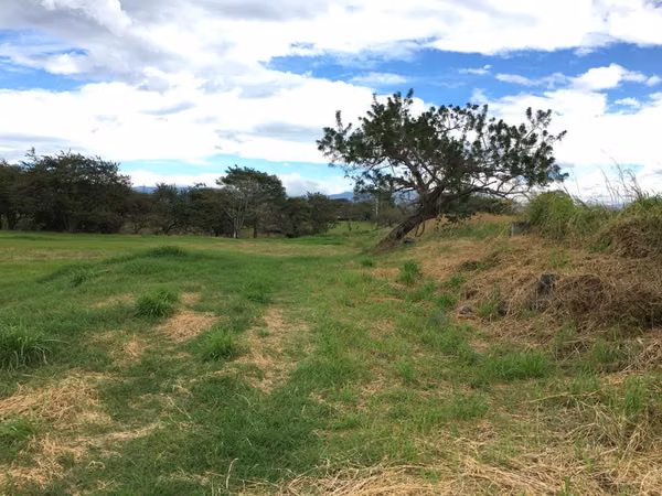 LOTS ARE SOLD IN TURROCARES, SAN MIGUEL, ALAJUELA