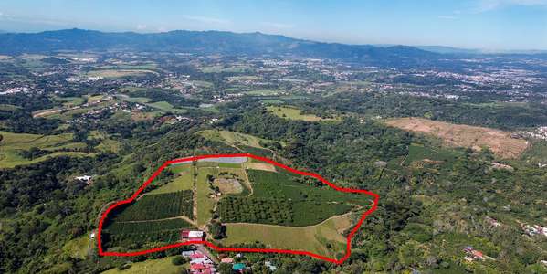 Farm Land in Poás Alajuela - 28ha Coffee Plantation - Investment