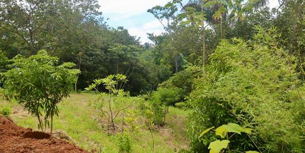 Lot in Santa Teresa - Eco Village Near Playa Carmen - Ready to Build
