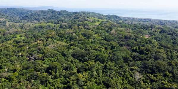 Lot in Santa Teresa - Ocean Jungle Views - Prime Development Land
