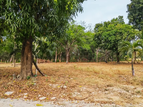 Lot for Sale in Barrio Cambalache, Liberia, Guanacaste