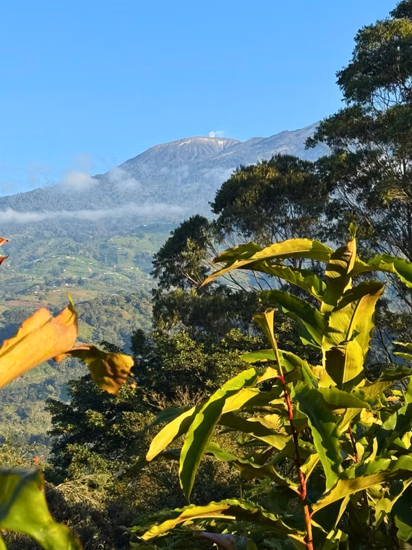 Quinta con 2 Casas en Sta Cruz de Turrialba - 1.5 Hectáreas