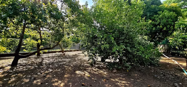 Venta de Casa en Guanacaste AMPLIA ZONA VERDE
