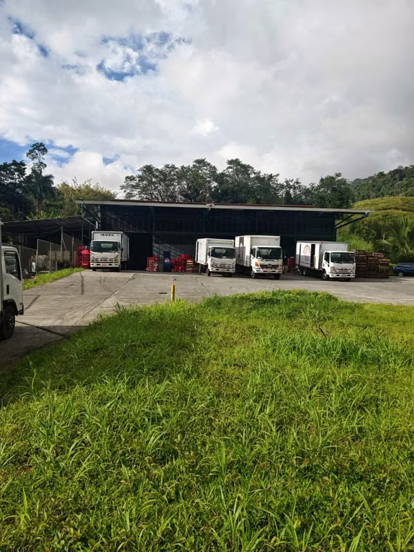 Sale of Commercial/Industrial Property with Two Warehouses, and Product Distribution – Turrialba