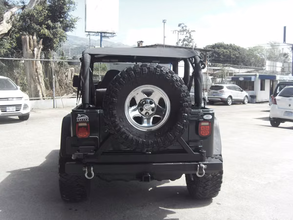 Jeep Wrangler TJ 2001 Manual