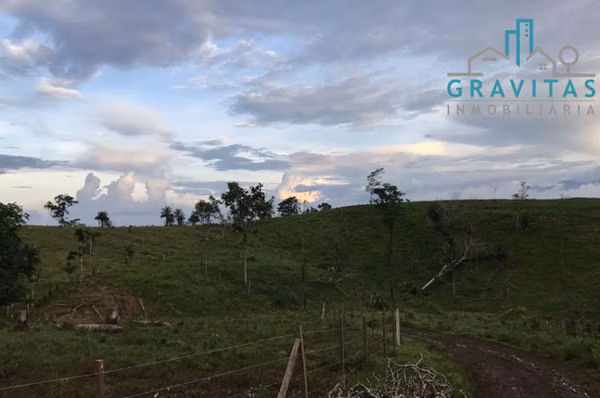 Venta Finca Ganadera de 741 hectáreas en la Cruz Guanacaste ID 1894