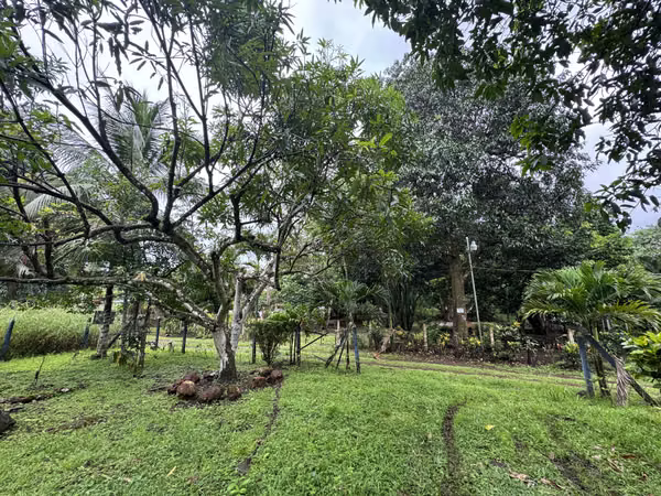 Venta de lote en Orotina