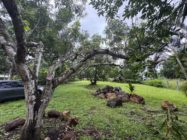 Venta de lote en Orotina