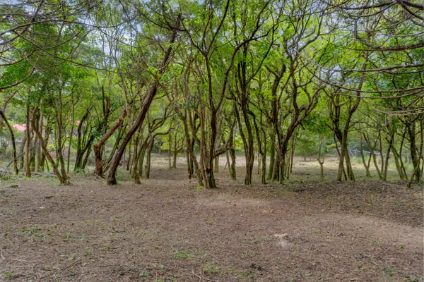 Lote plano en Residencial El Castillo – San Rafael de Heredia