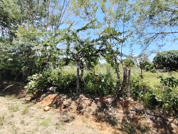 Venta de lote de 762 m2 con uso mixto en Buenos Aires, Puntarenas