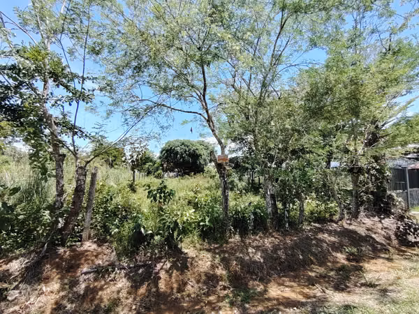 Venta de lote de 762 m2 con uso mixto en Buenos Aires, Puntarenas
