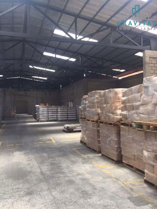 Alquiler de bodega en Alto de Ochomogo, 2084m2 ID 1951