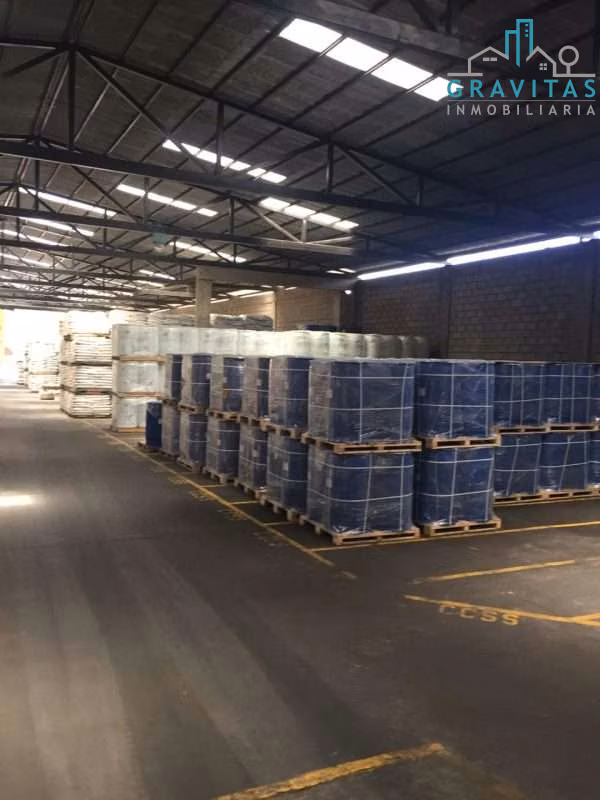 Alquiler de bodega en Alto de Ochomogo, 2084m2 ID 1951