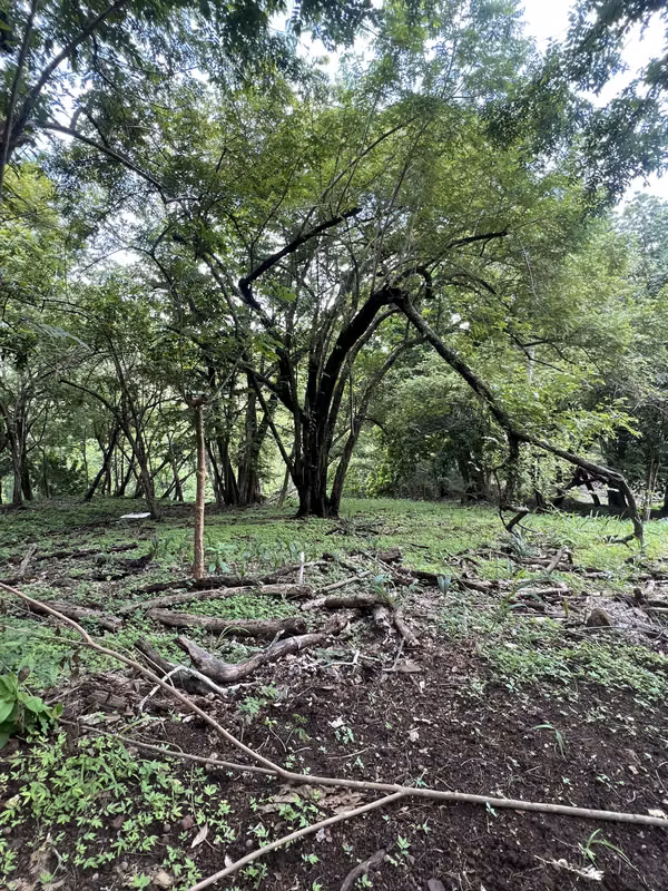 Venta de lote en Esparza Puntarenas
