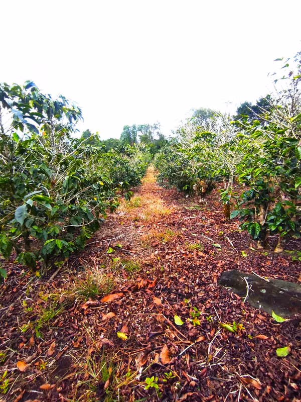 Lote de 3ha a 400m de ruta 32