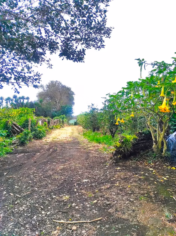 Lote de 3ha a 400m de ruta 32