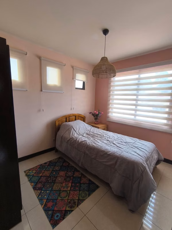 Alquiler Habitaciones en casa amplia y acogedora. AMO437.