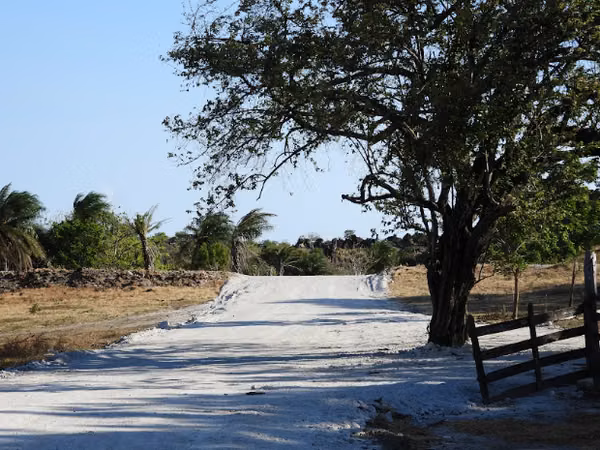 LOTES HACIENDA SYLVARA BAGACES GUANACASTE
