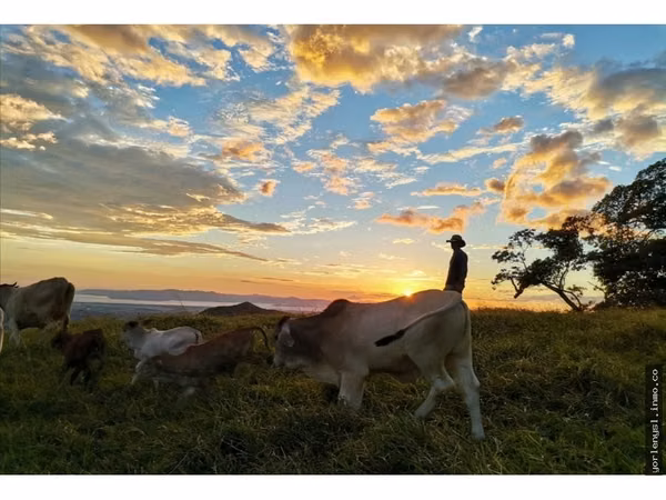 Venta de Finca Miramar- Puntarenas