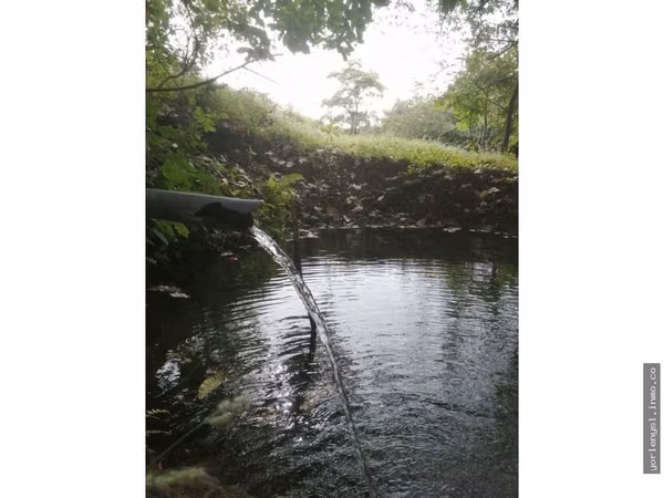Venta de Finca Miramar- Puntarenas